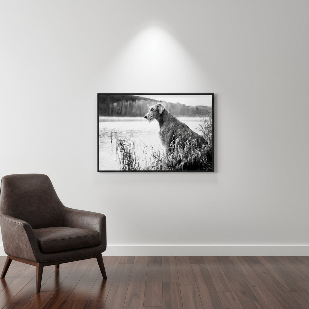 Stunning framed print featuring an Irish Wolfhound, 60×90 cm print in a minimalist modern living room; white walls, dark wood floors, leather armchair and soft spotlight highlighting the artwork.