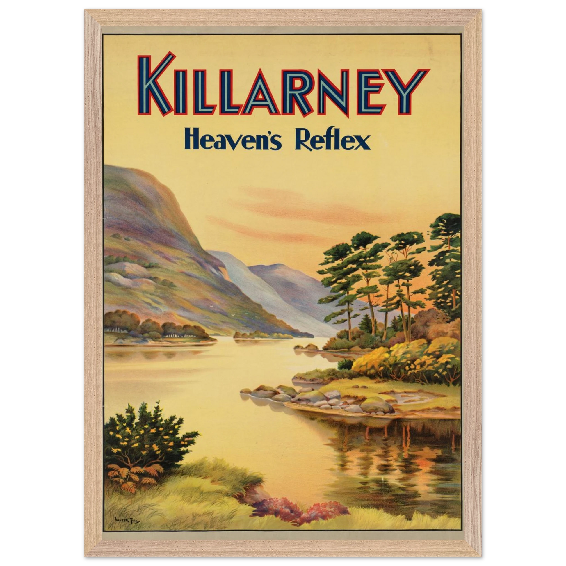 c9b9a03c-518f-45df-ae6d-9680497e1a07